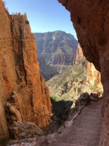 Grand Canyon #2 North Rim Kaibab trail